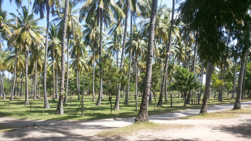 Click to enlarge image Lombok_Senggigi_for_sale_Sire_4.jpg