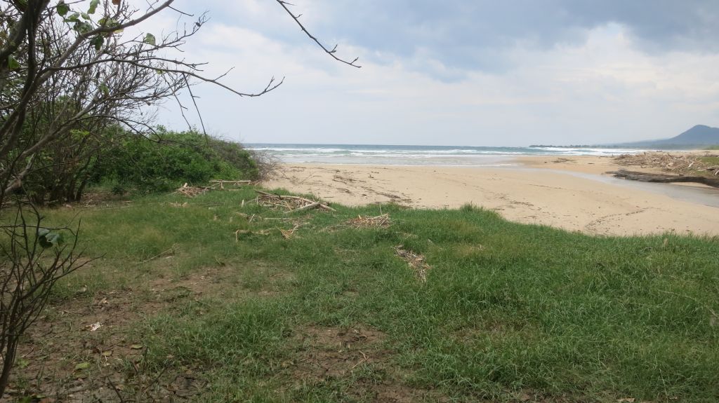 Click to enlarge image Labangka_300m_Beachfront_Sumbawa3.JPG